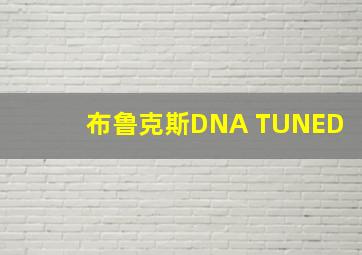 布鲁克斯DNA TUNED